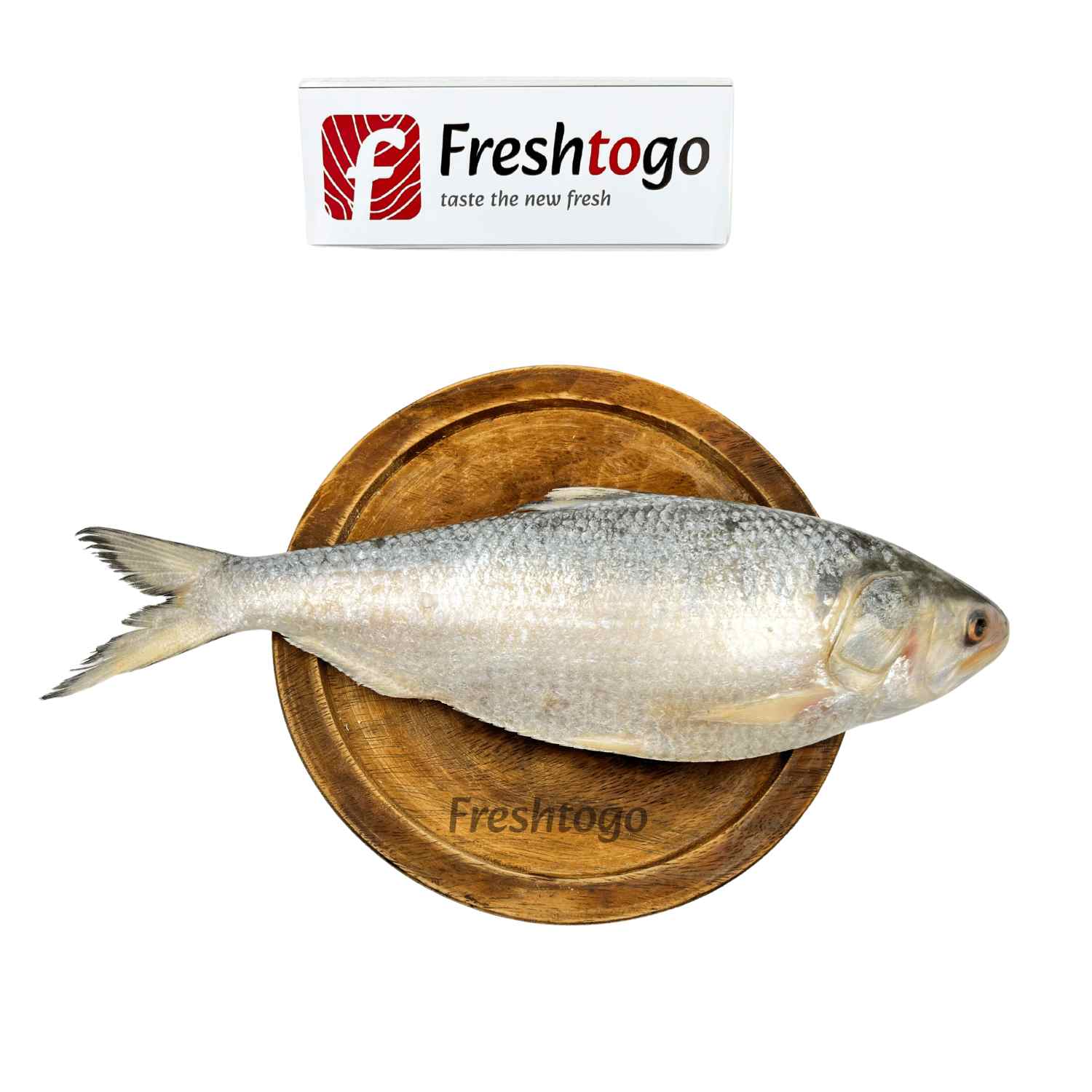 Hilsa Fish (Padma river)( 1.3 kg - 1.5 kg) - Whole, Cut, Cleaned